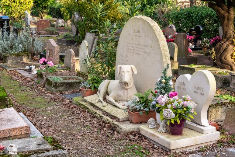Τι συμβαίνει με τις ταφές των κατοικίδιων ζώων στην Ελλάδα
